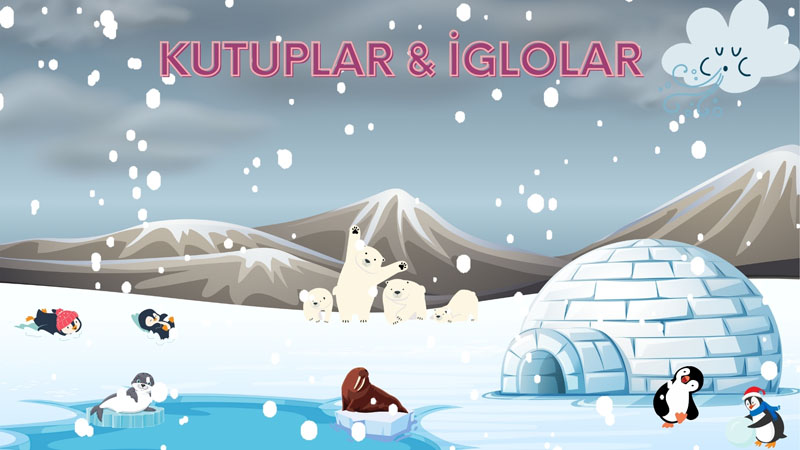 Kutuplar - İglolar